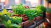 Cultiver des variétés naines de légumes sur le balcon, la terrasse ou un espace urbaine de petite taille. © TulenMalen, AdobeStock